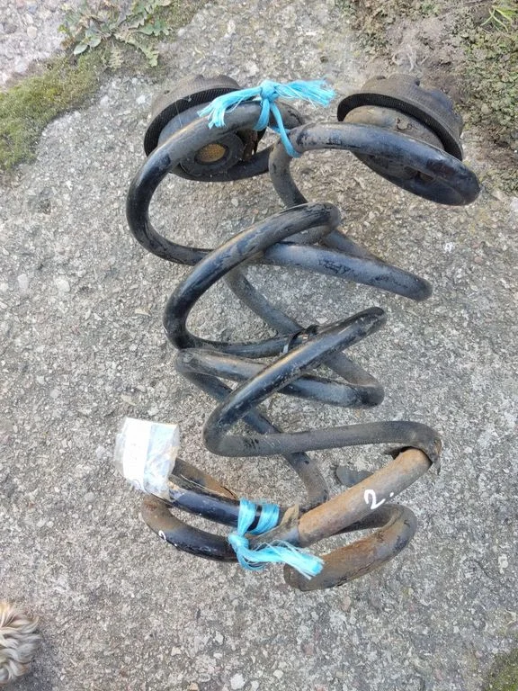 Rear coil spring