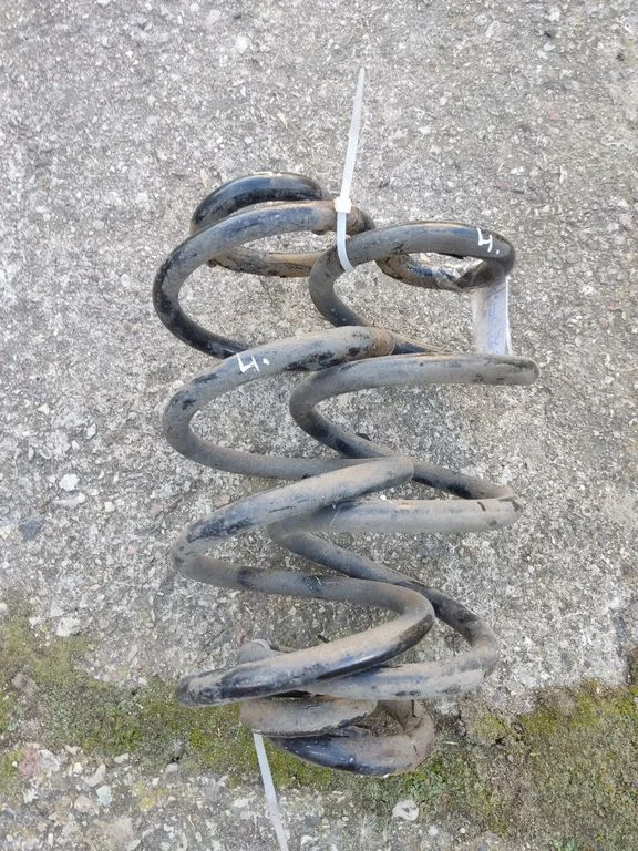 Rear coil spring