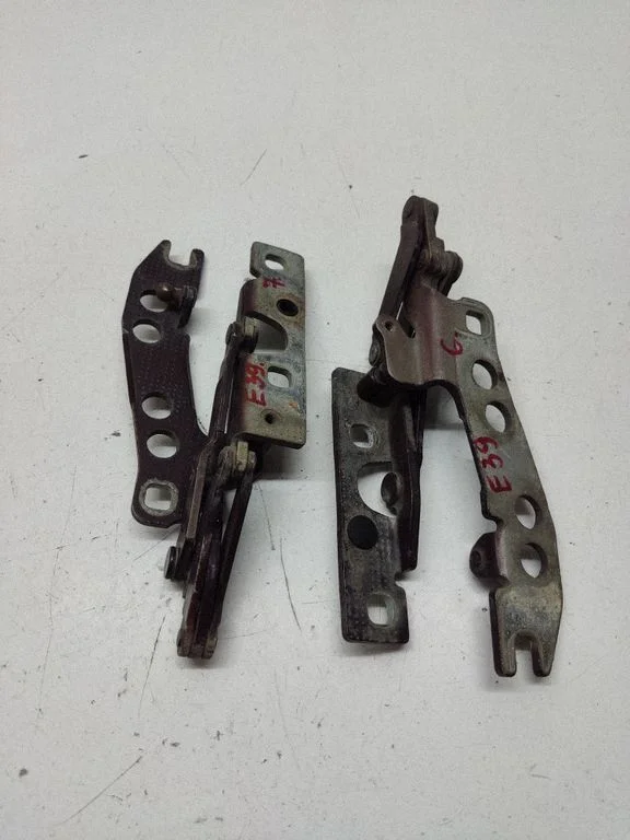 Mootorikapoti hinged – eesmine