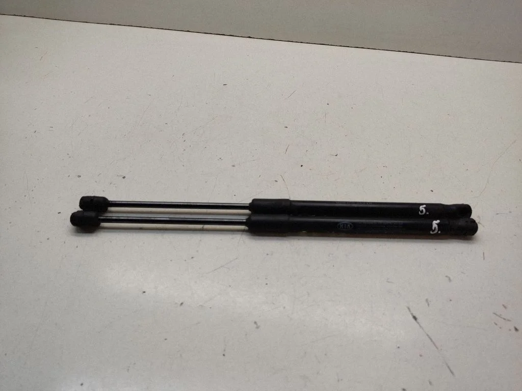 Motora pārsega amortizators 81161D4001