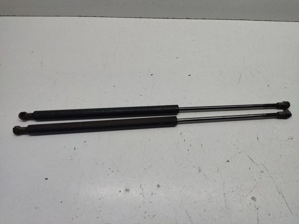 Tagaluugi gaasiamortisaator 8232873