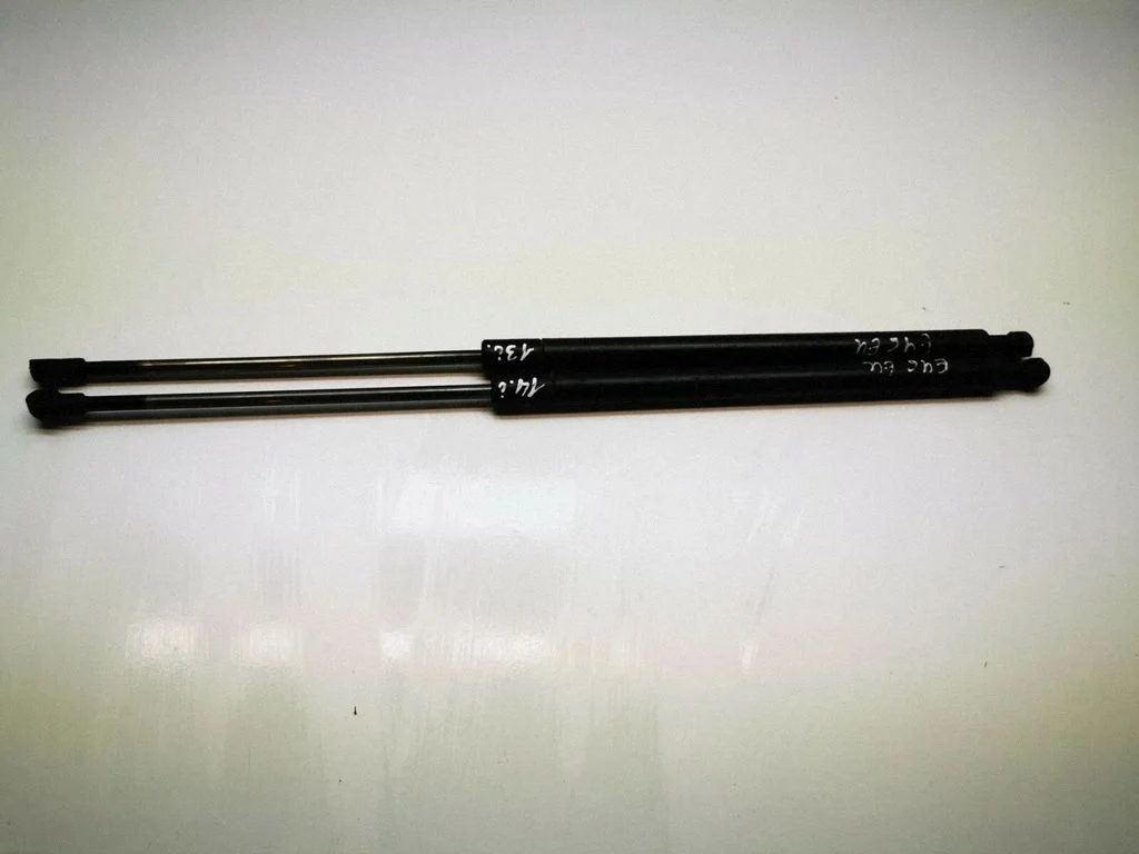 Tailgate/trunk strut/damper