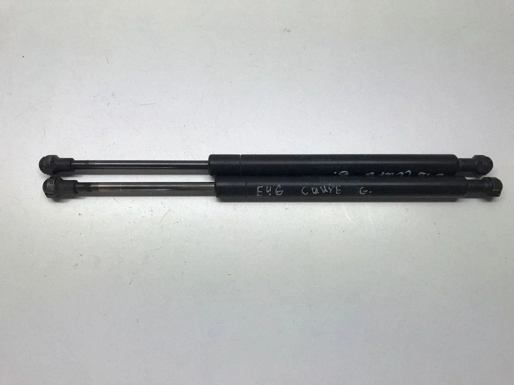 Tailgate/trunk strut/damper 8254281