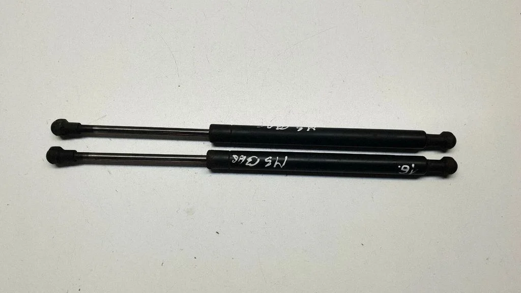 Tailgate/trunk strut/damper 8227895