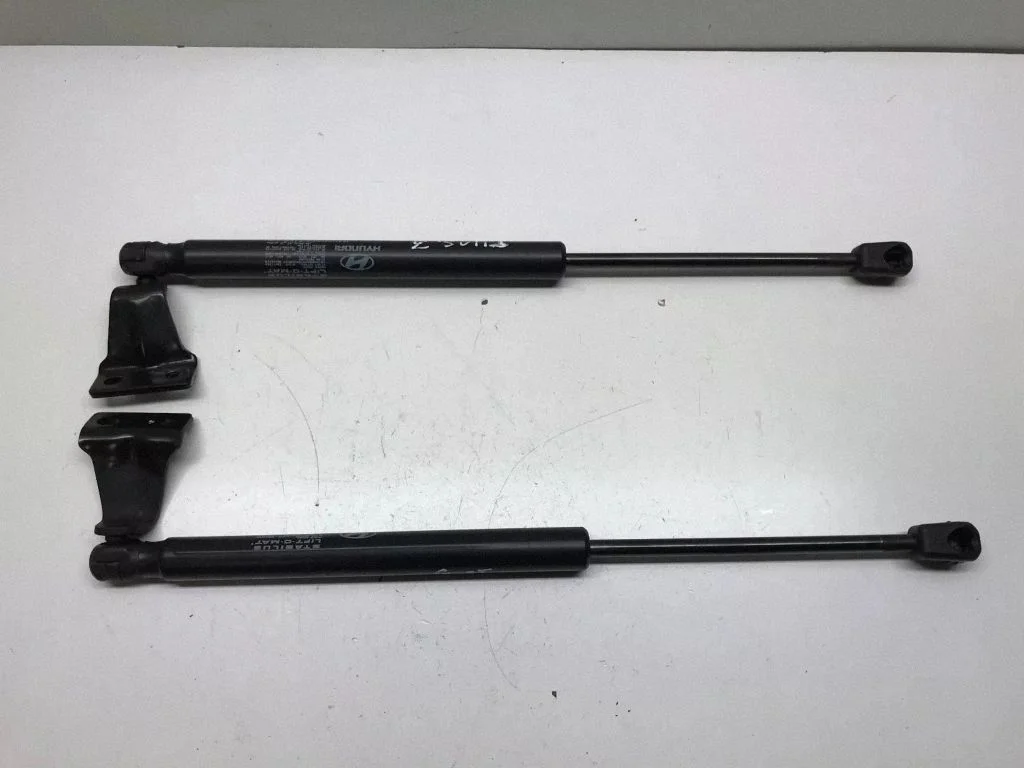 Tagaluugi gaasiamortisaator 871702E020