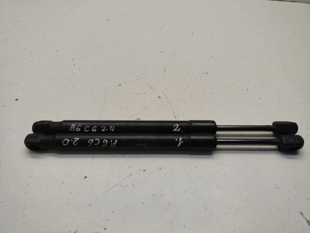Tailgate/trunk strut/damper 4F582755203S