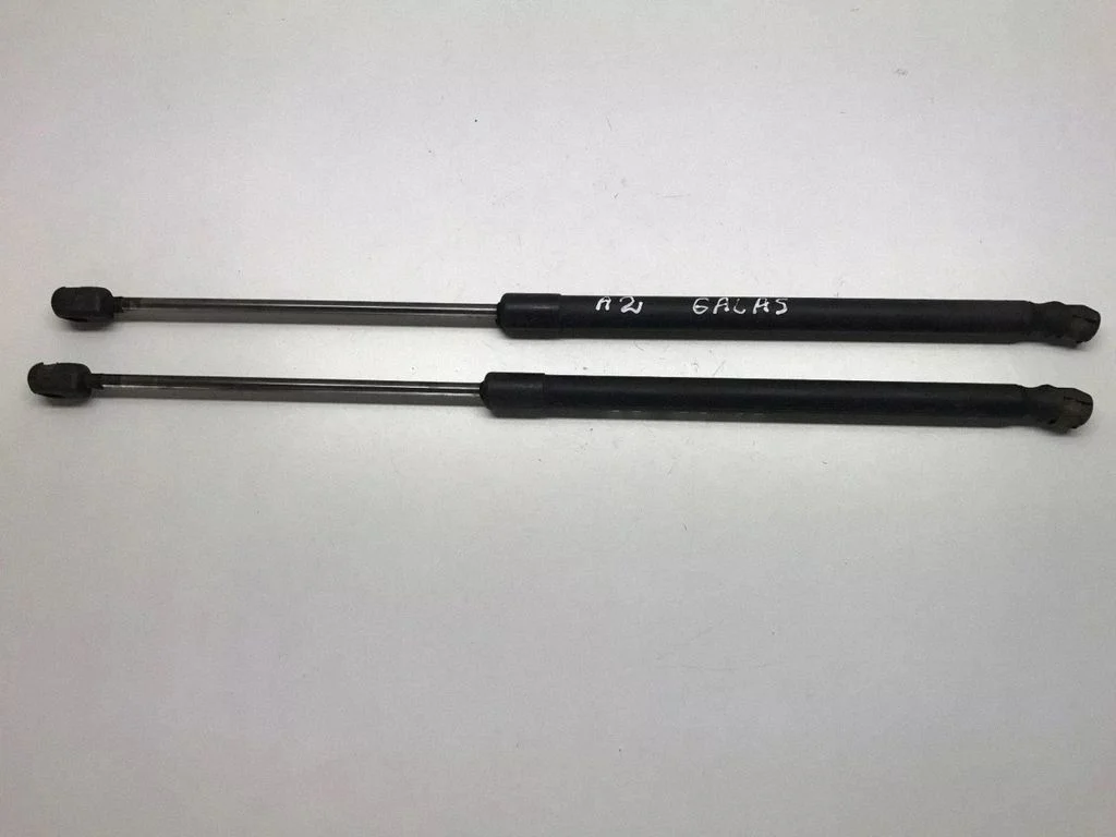 Tailgate/trunk strut/damper