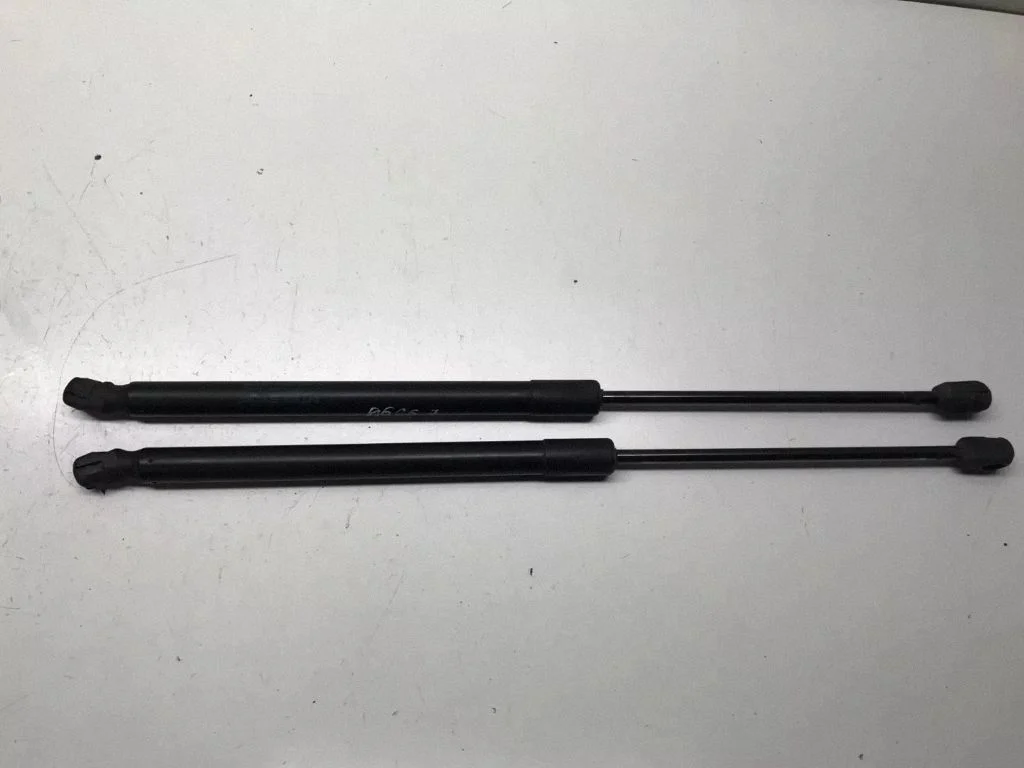Tailgate/trunk strut/damper