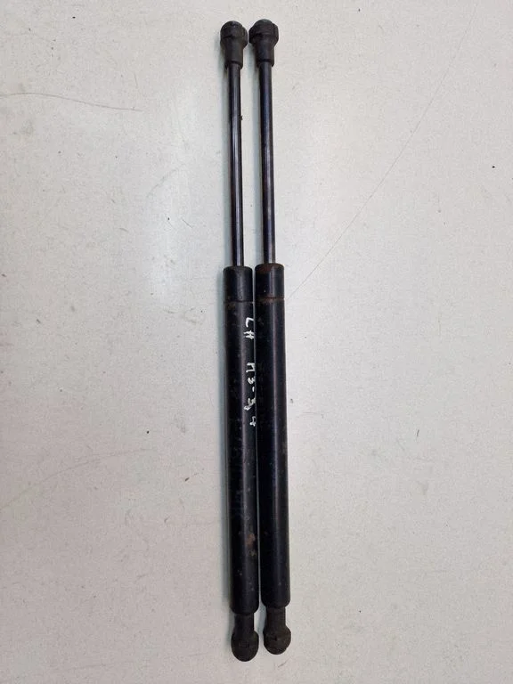 Tailgate/trunk strut/damper 8227895
