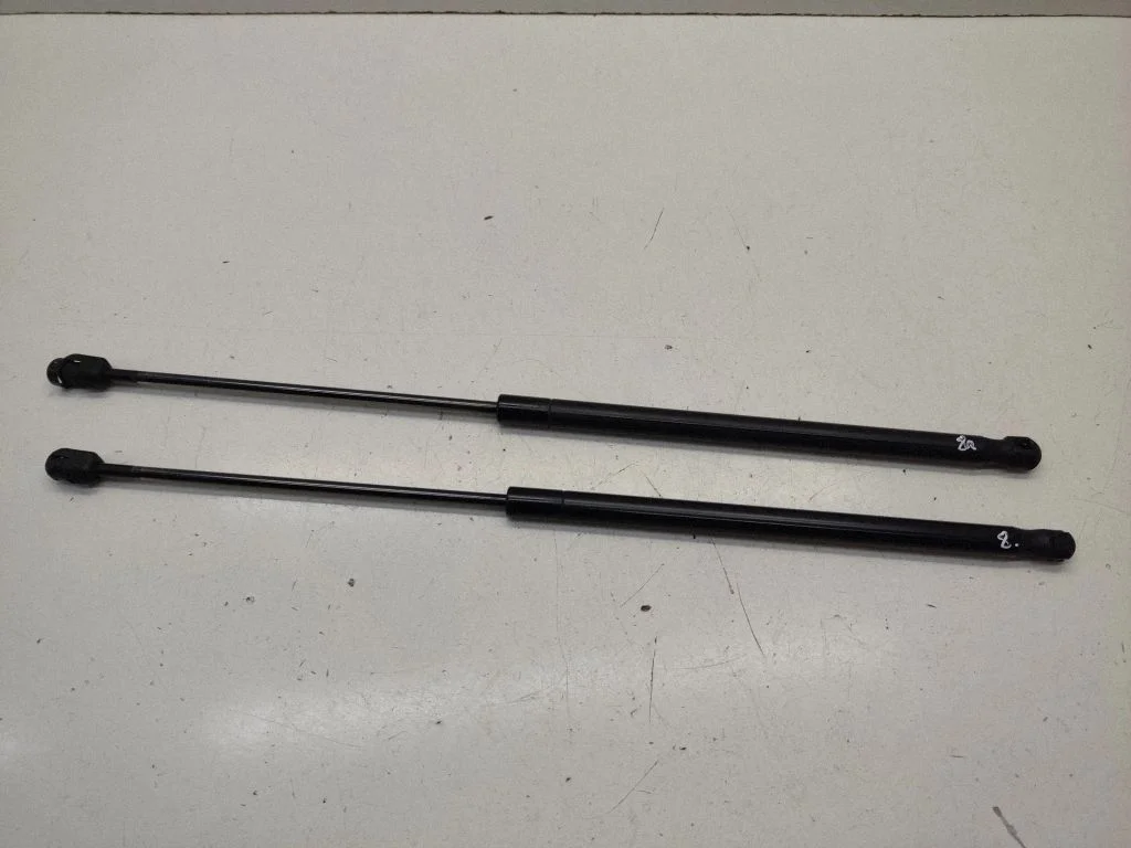 Tagaluugi gaasiamortisaator 3M51R406A10AB