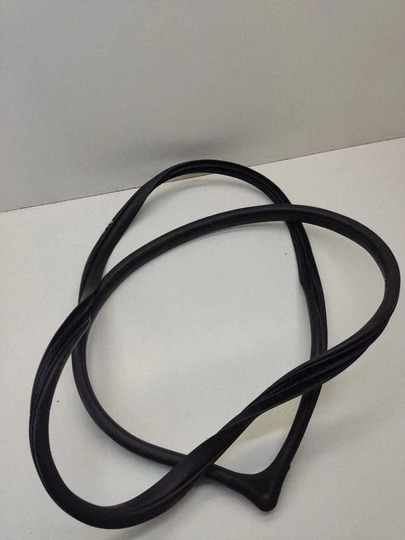 Front door rubber seal – front left