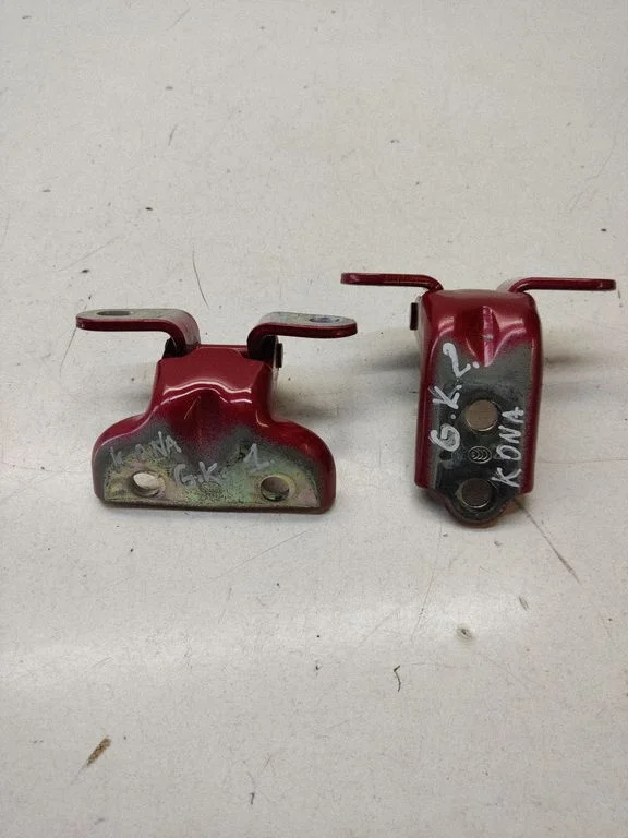 Rear door hinge set – rear left