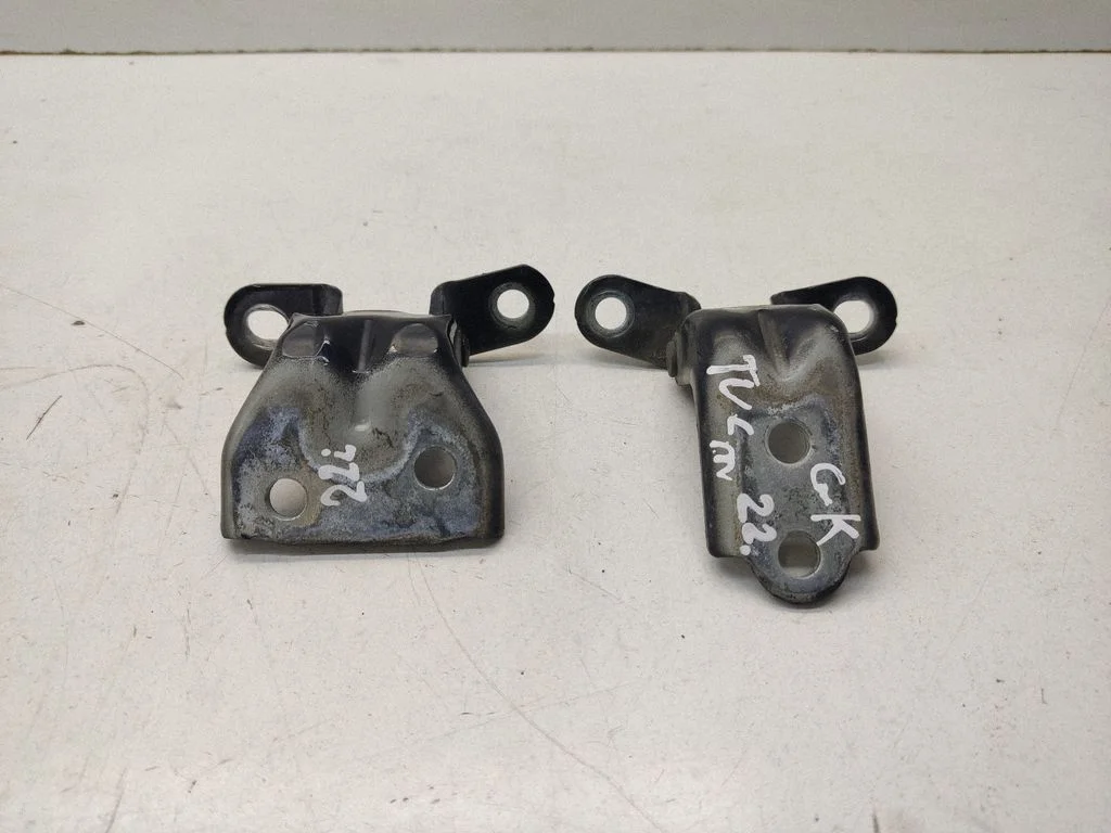 Rear door hinge set – rear left