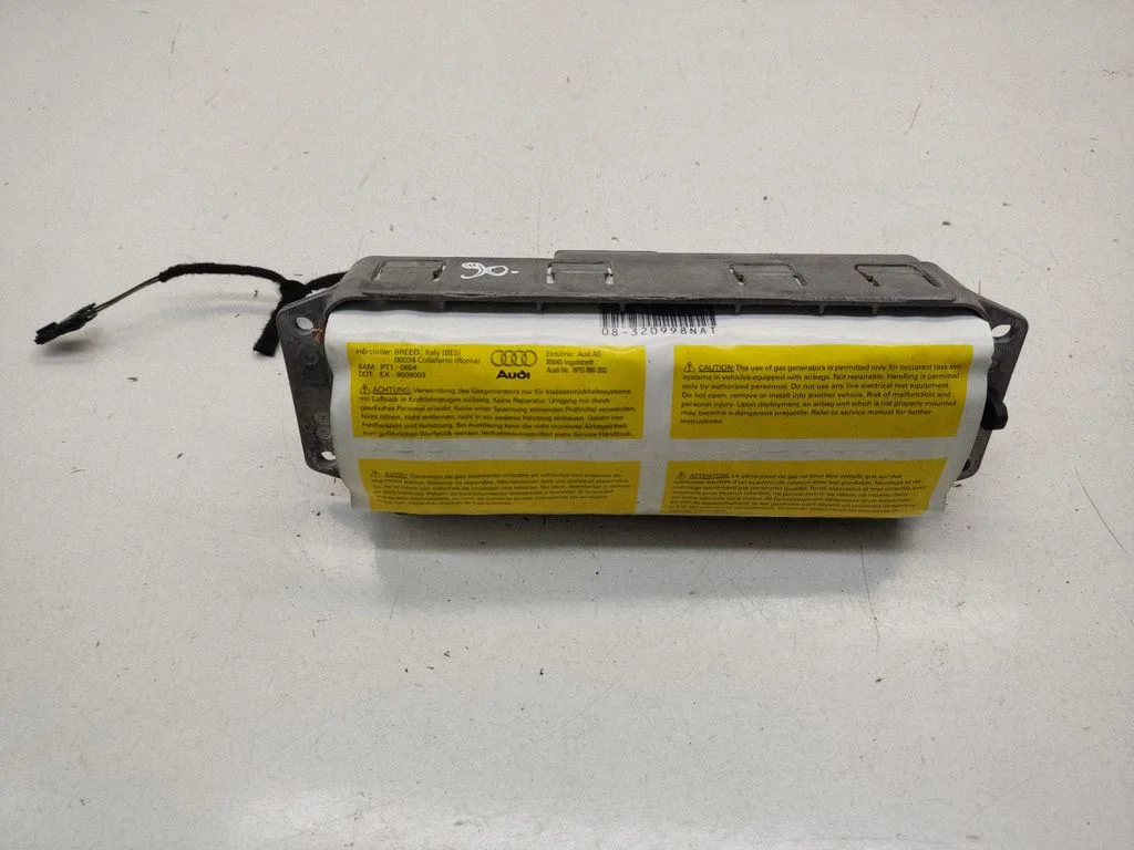 Passenger airbag 1000042