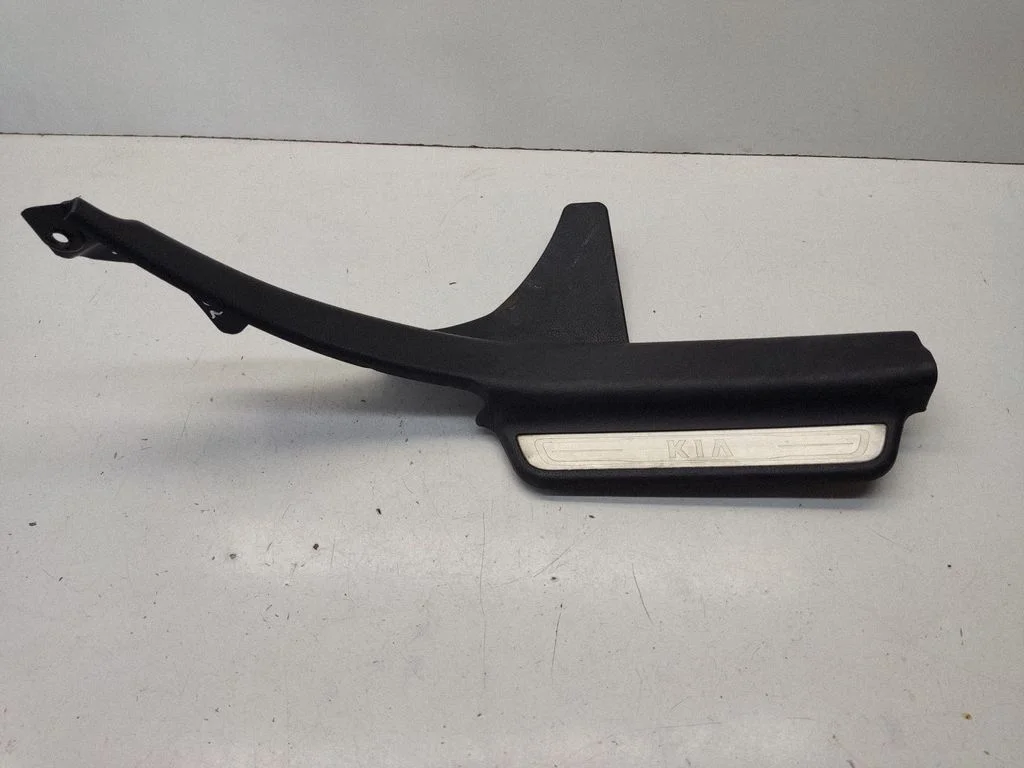 Rear sill trim cover 858852T200