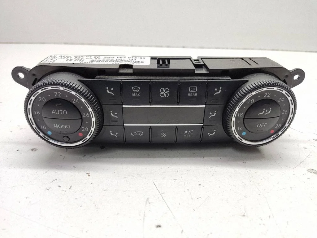 Climate control unit A2519060400