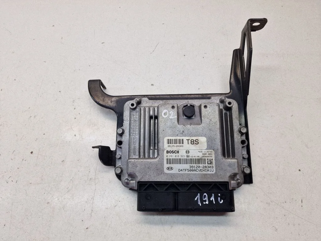 Engine control unit/module 391202A303
