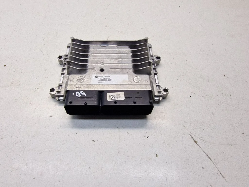 Dzinēja vadības bloks 954412BDJ0
