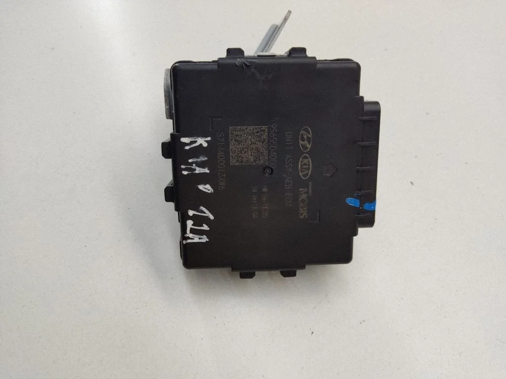 Other control units/modules 95655D4000