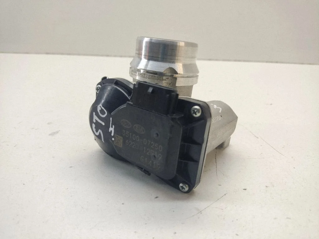 Throttle valve 3510007250