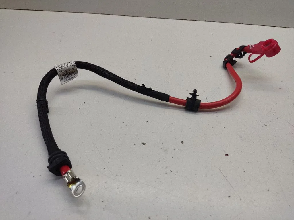 Positive cable (battery) 8704696