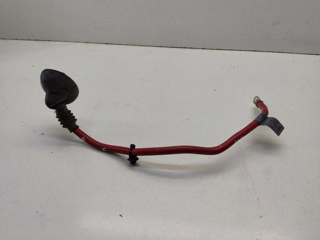 Positive cable (battery) 6010543