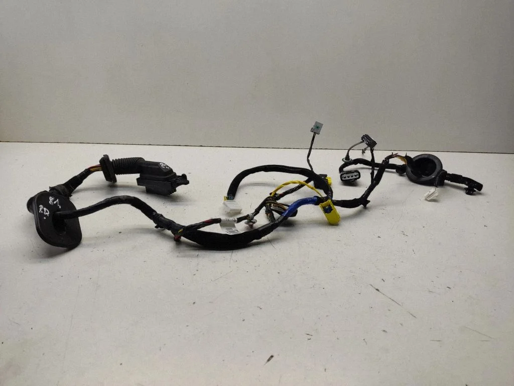 Front door wiring loom 91610D4380