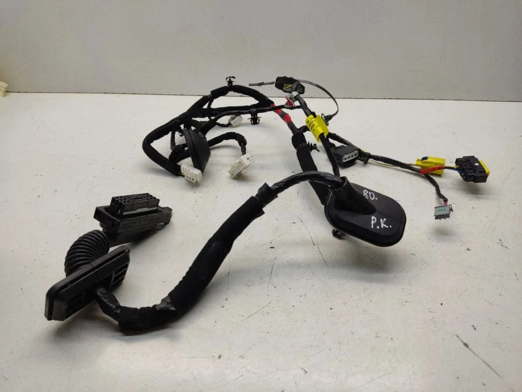 Front door wiring loom 91600D4180