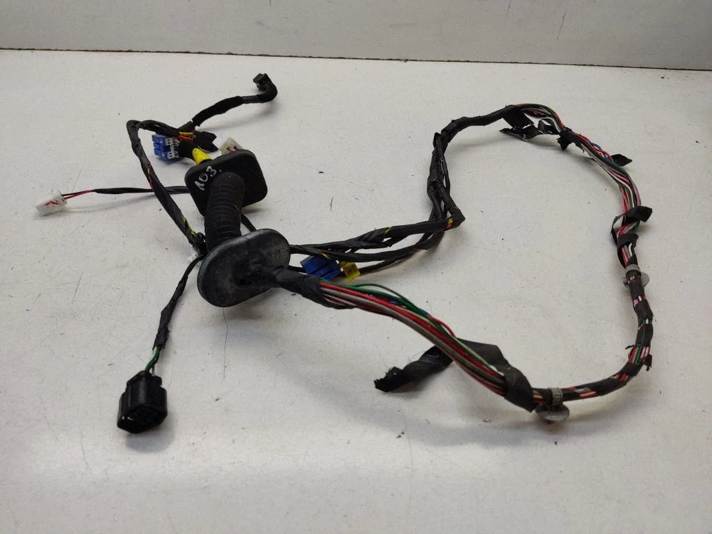 Front door wiring loom 916102E060
