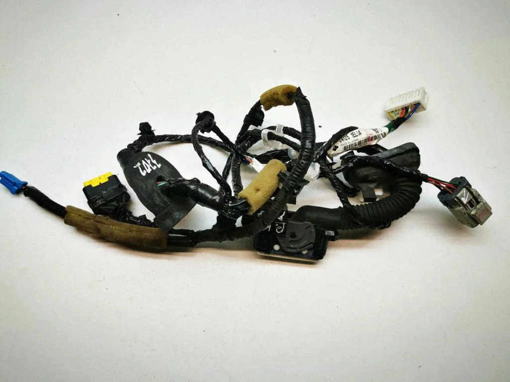 Front door wiring loom 241251EL1A