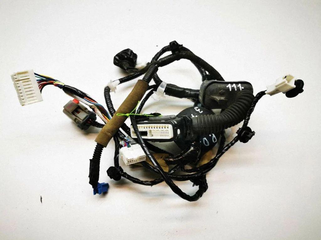 Front door wiring loom 24260AR020