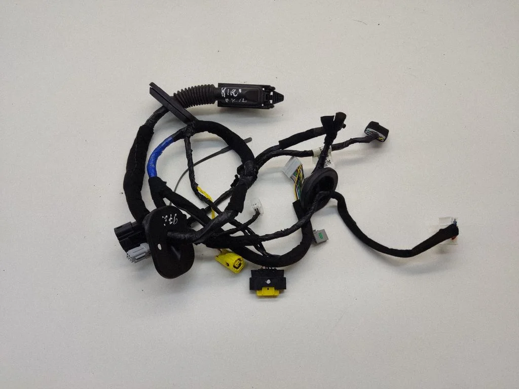 Front door wiring loom 91600D4350