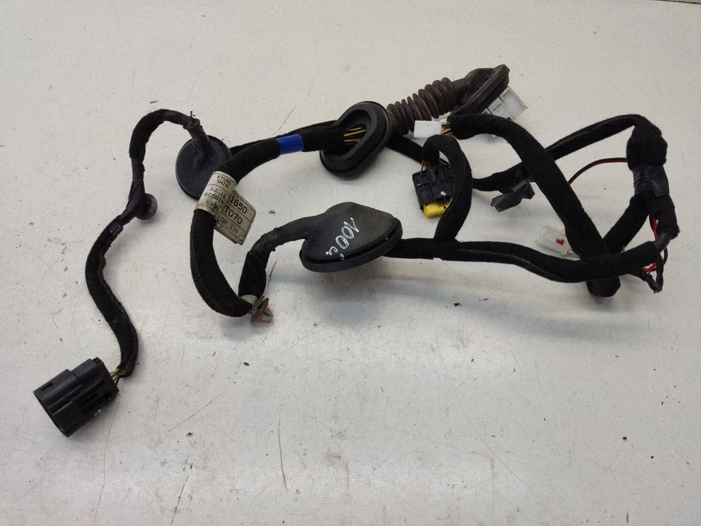 Rear door wiring loom 916502T070