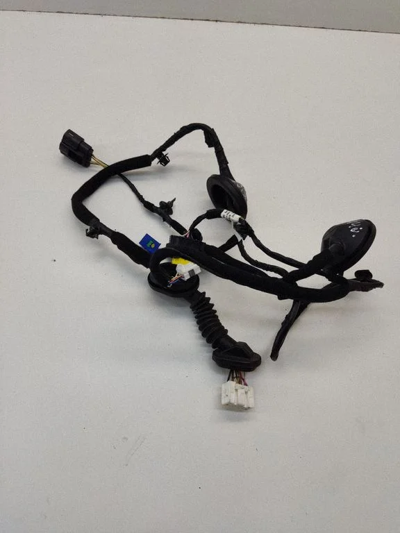 Rear door wiring loom 91650D4210