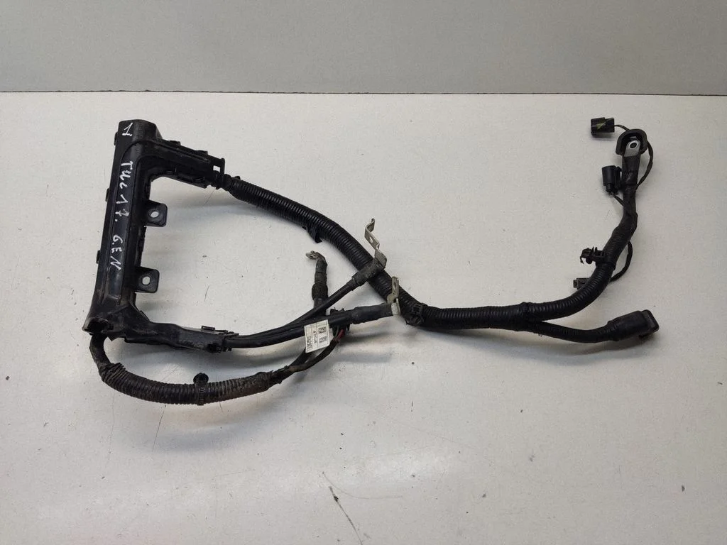 Positive wiring loom 91850D7411