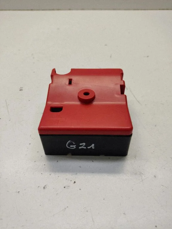 Positive wiring loom 175479