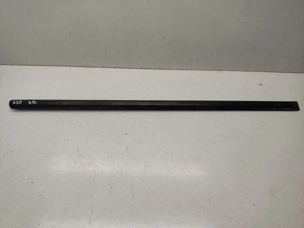 Front door trim (molding) 1952884
