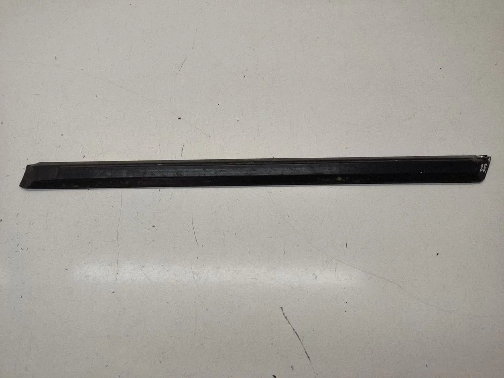 Rear door trim (molding) 1952895