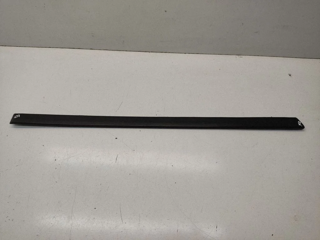 Rear door trim (molding) 1934182