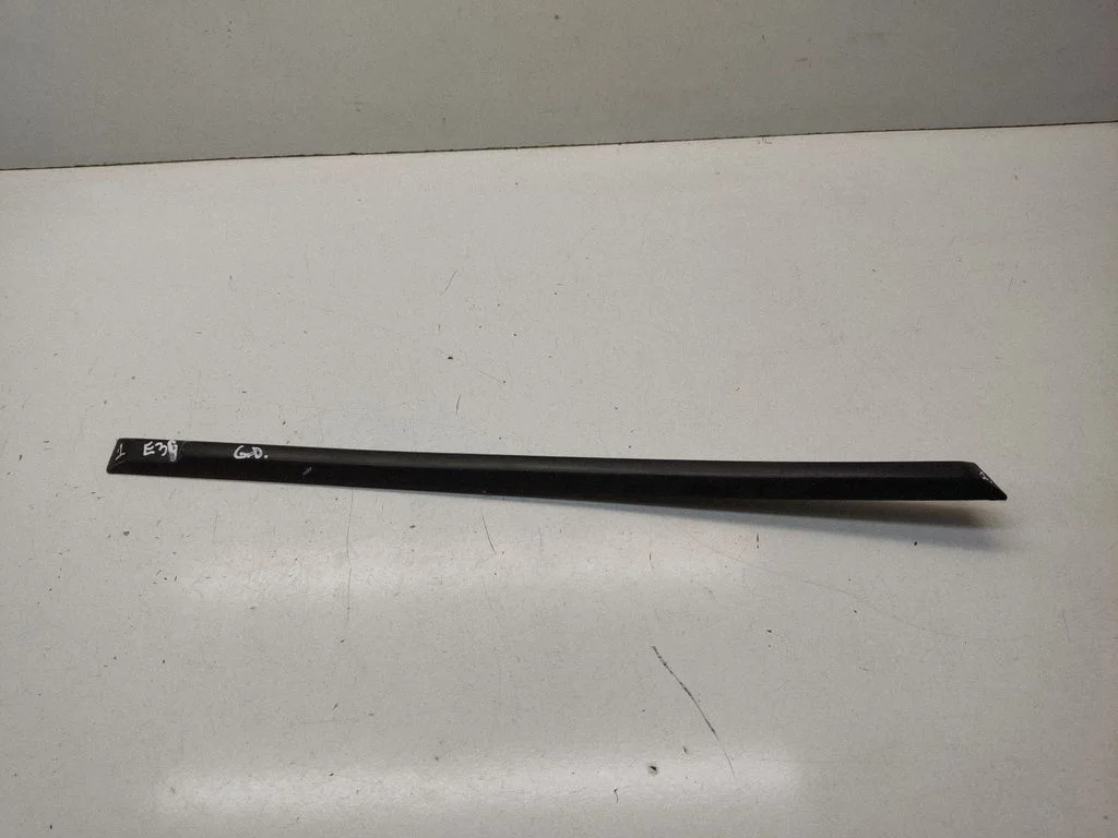 Rear door trim (molding) 1960734