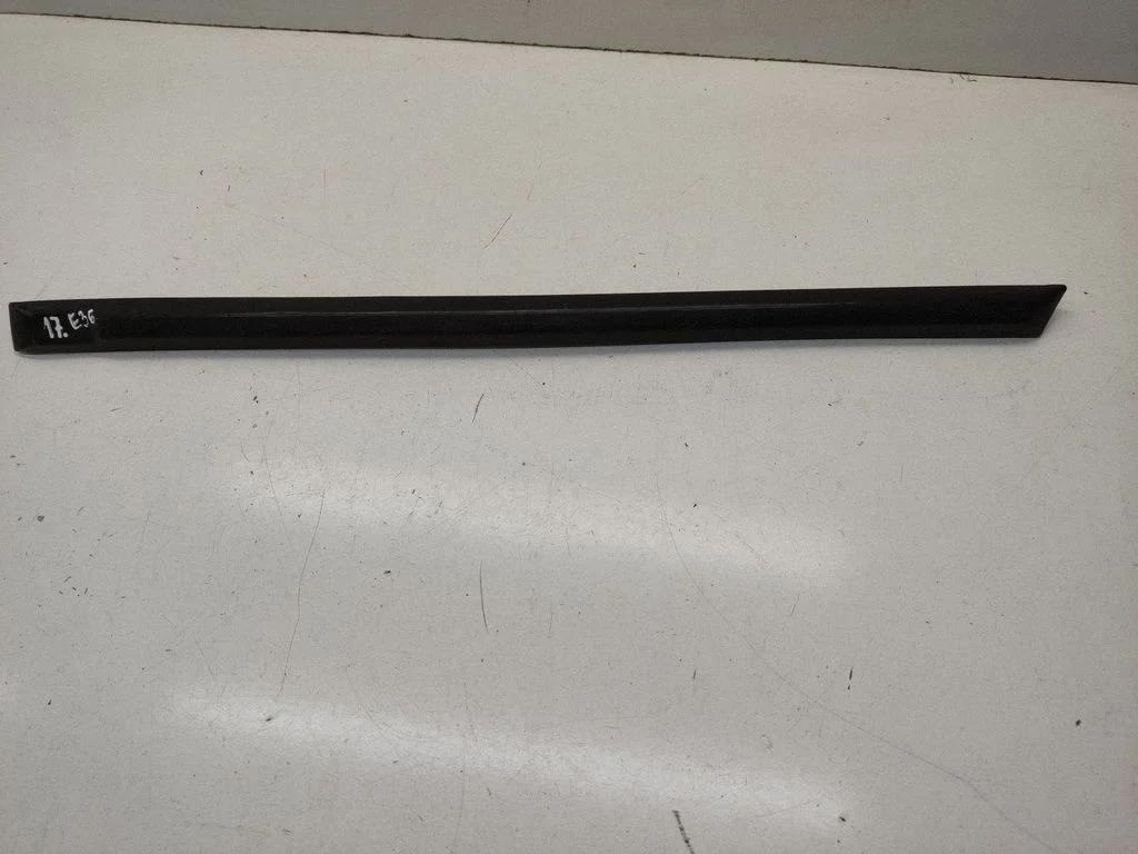 Rear door trim (molding) 1960733