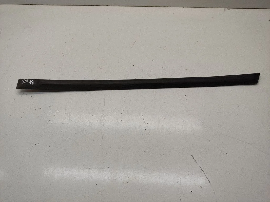 Rear door trim (molding) 1960733