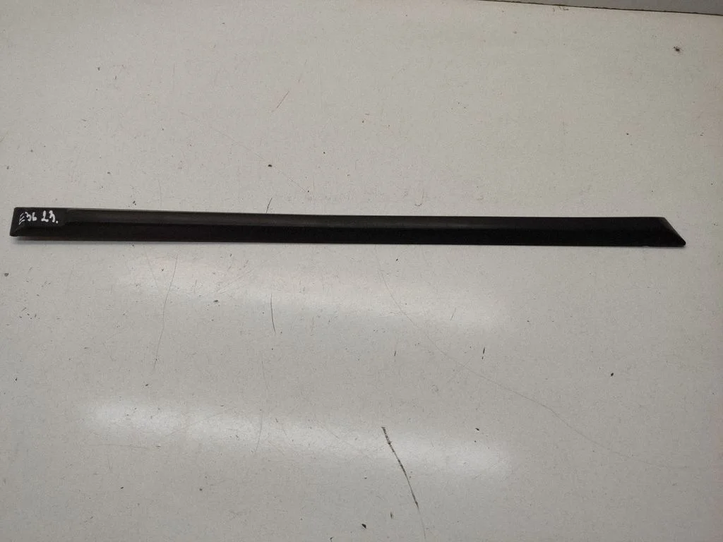Rear door trim (molding) 1960734