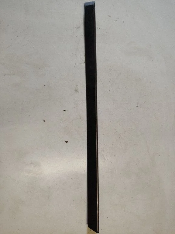 Rear door trim (molding) 8184479