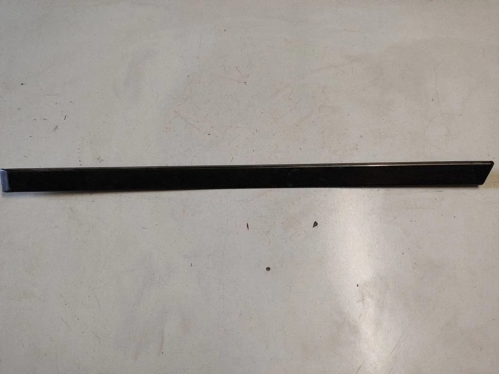 Rear door trim (molding) 8184479