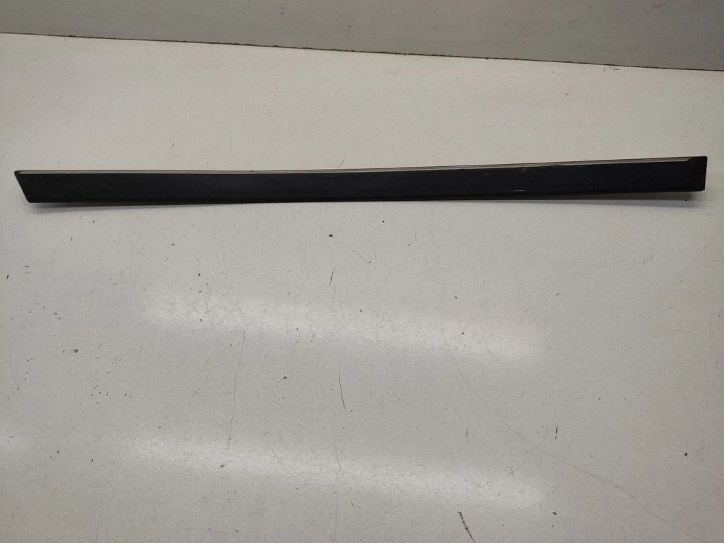 Rear door trim (molding) 8184480