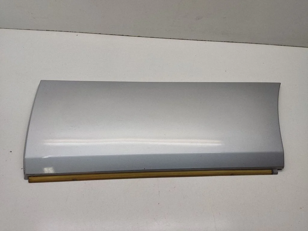 Rear door trim (molding) 8263897