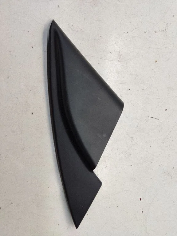 Välispeegli plastkate 876602T000