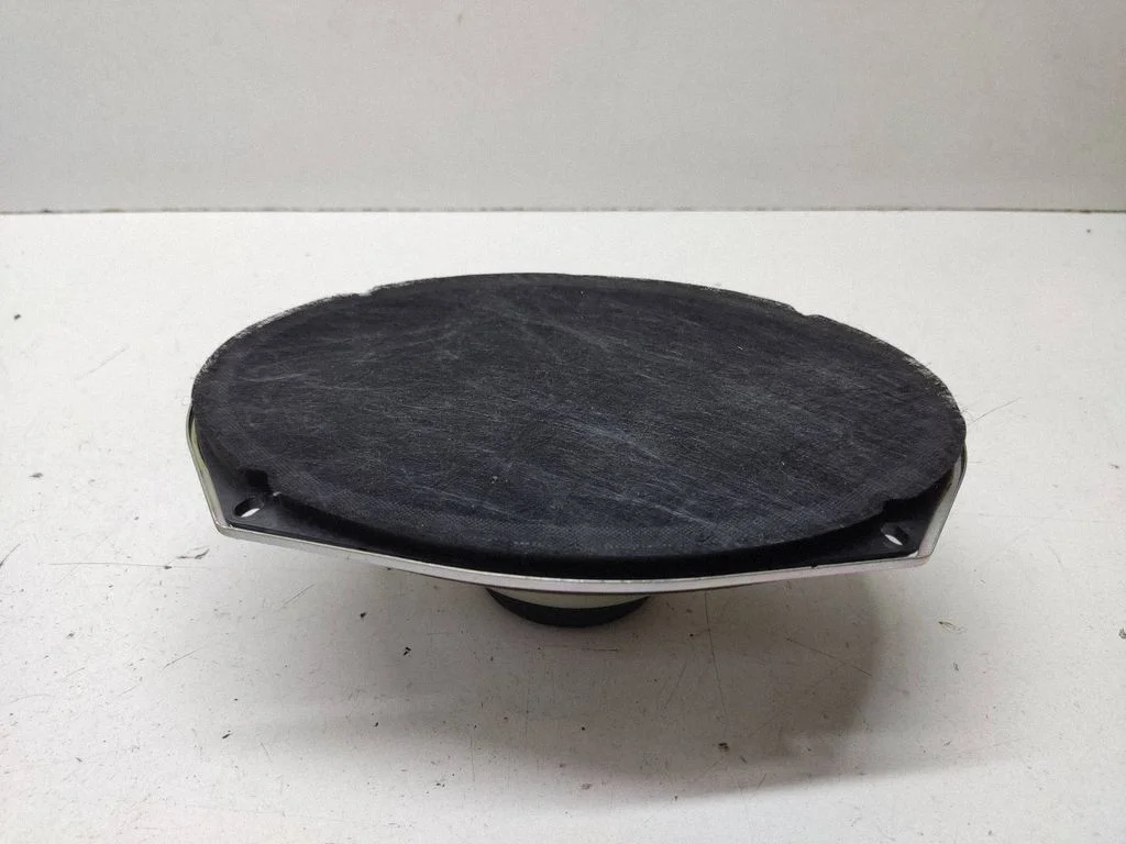 Front door speaker – Chrysler Grand Voyager V (2007-2015)