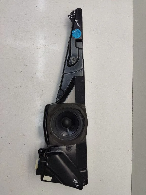 Front door speaker 555962